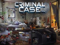 criminal case